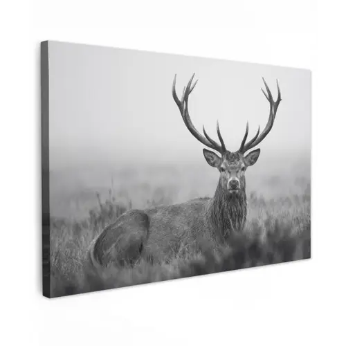 Hert - Mistig - Zwart - Wit canvas 2cm klein -z3d