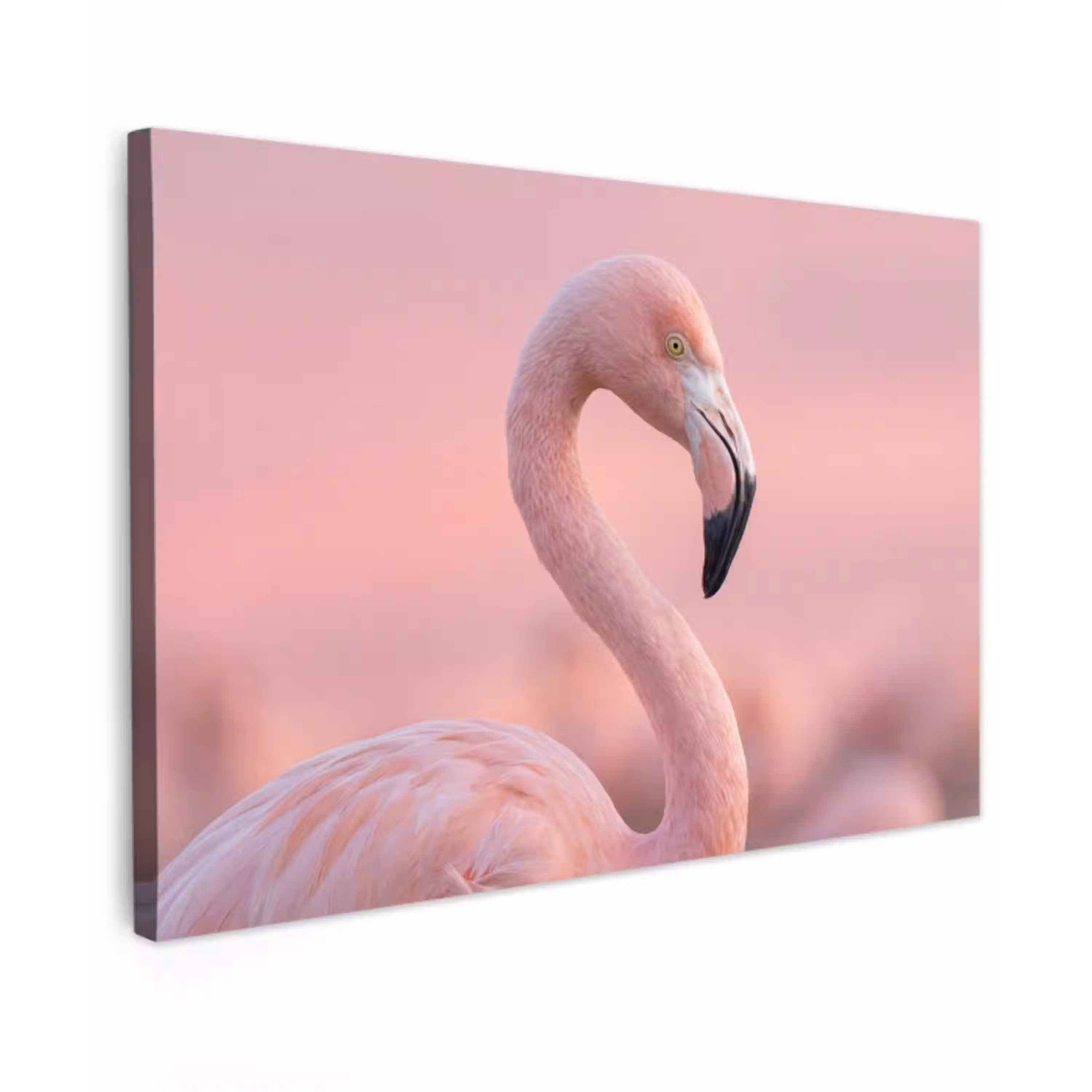Flamingo - Portret - Roze Tuinposter op houten frame 2 cm dik klein -3d