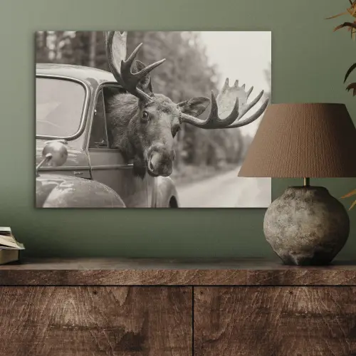 Eland - Auto - Gewei - Zwart - Wit PET vilt klein -sfeer2