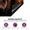 Schotse Hooglander - Horens - Zwart - Dieren - Natuur - Wild - Koe Inductie beschermer vinyl 3mm middel -zzzzzzz-cc-onderkant