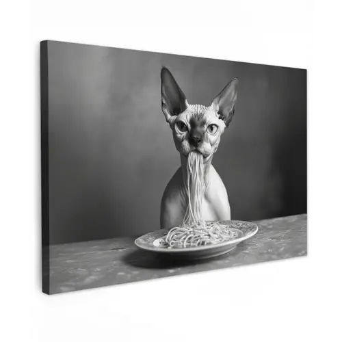 Sphynx - Kat - Dieren - Humor - Spaghetti - Zwart Wit canvas 2cm klein -z3d