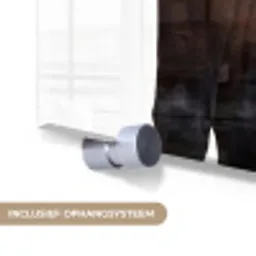 Paard - Modern - Balans plexiglas 5mm klein -zzsysteem_NL