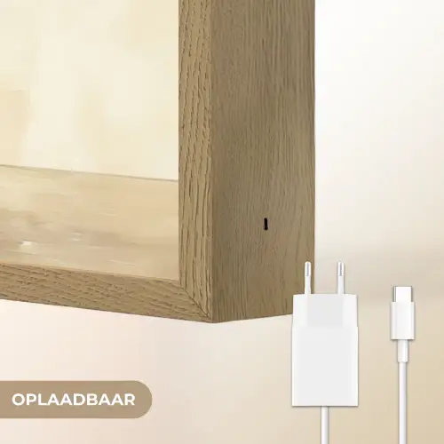 Vaas - Keramiek - Olijftakken Light Box met batterij (Wandlamp) middel -USP_websiteoplaadbaarNL