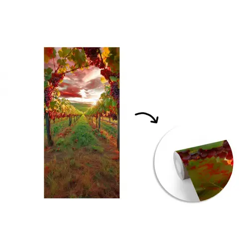 Wijngaard - Druiven - Zonsondergang fotobehang vinyl groot -3d