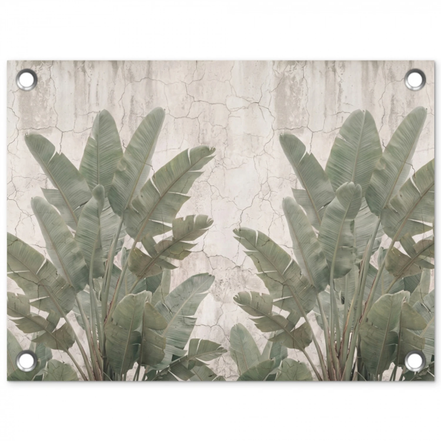 Bananenbladeren - Beton - Groen tuinposter los doek klein -3d