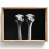 Struisvogels - Halzen - Zwart - Minimalistisch Dienblad Rechthoek middel -z3d_shopping