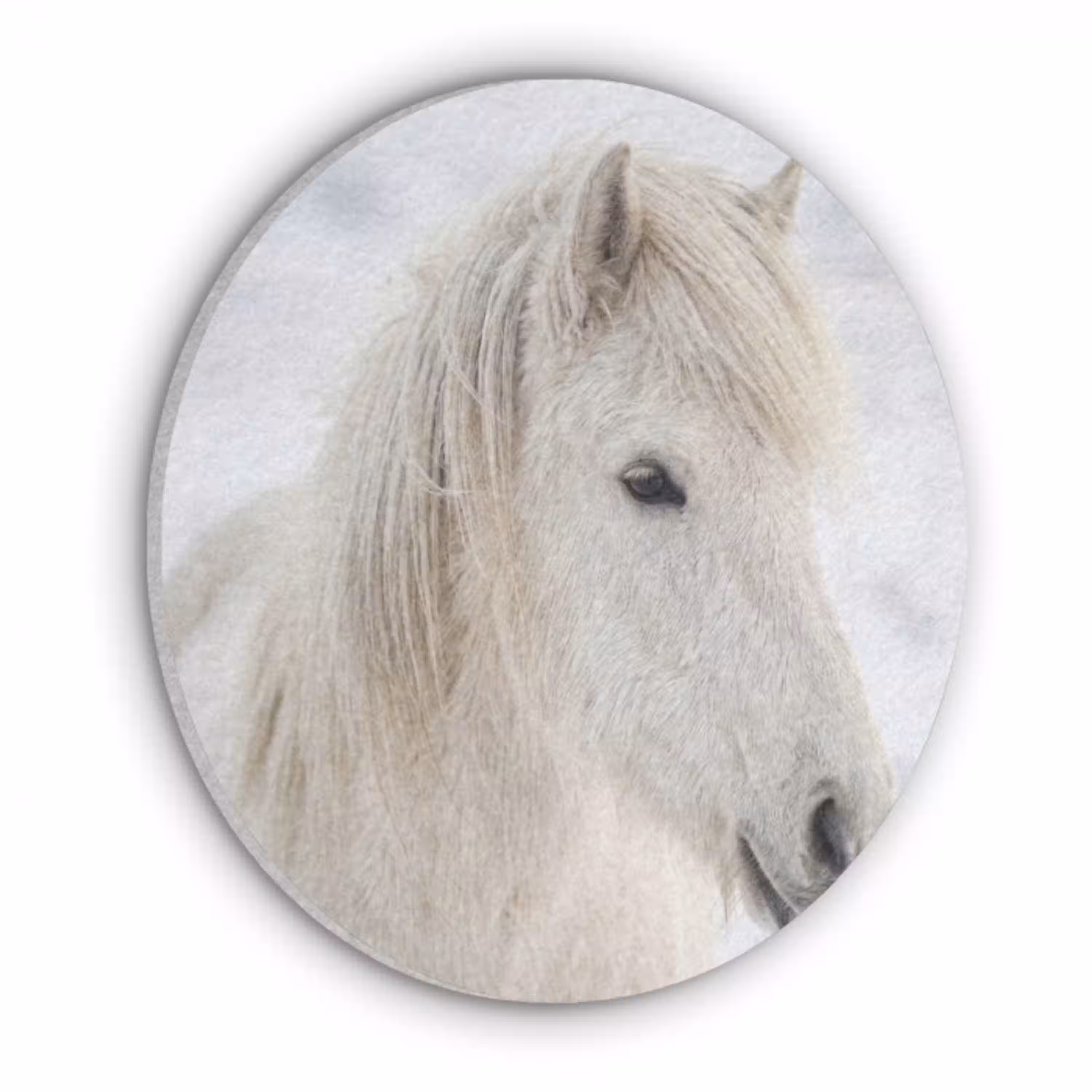 Paard - Kop - Winter - Dieren - Wit Akoestische PET Vilt - Rond klein -3d