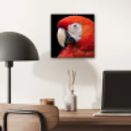 Ara - Portret - Rood aluminium wit klein -sfeer5