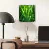 Grassprieten - Lichtinval - Groen plexiglas 5mm klein -sfeer6