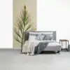 Dennentak - Naaldvormige bladeren - Lichtgroen fotobehang vinyl groot -slaapkamer