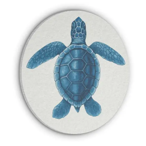 Schildpad - Blauw - Schild Akoestische PET Vilt - Rond klein -3d