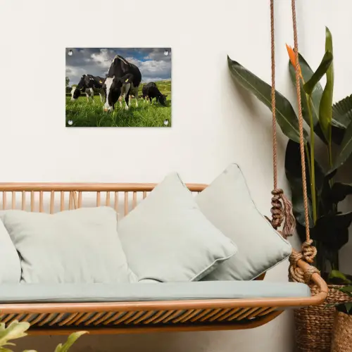 Koeien - Dieren - Gras - Weiland - Boerderij tuinposter los doek klein -sfeer7