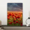 Zonsondergang - Klaprozen - Rood - Bloemen - Veld - Natuur canvas 2cm klein -sfeer6