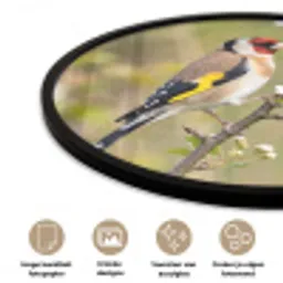 Putter - Bloesem - Lente - Natuur - Kleurrijk Fotolijst rond zonder passe partout klein -closeup_NL