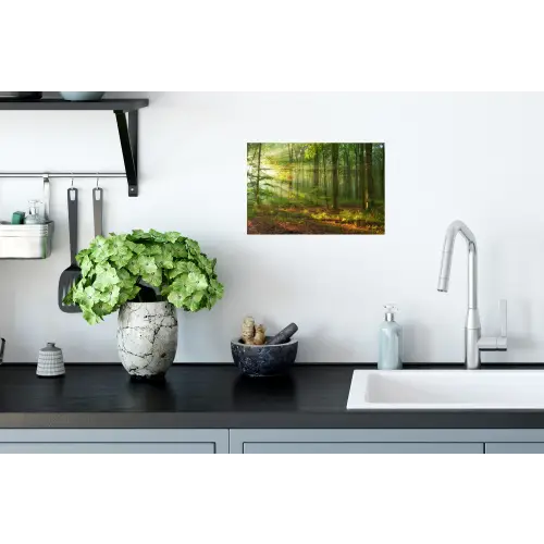Zon - Bos - boom - Natuur - Herfst Muursticker klein -keuken