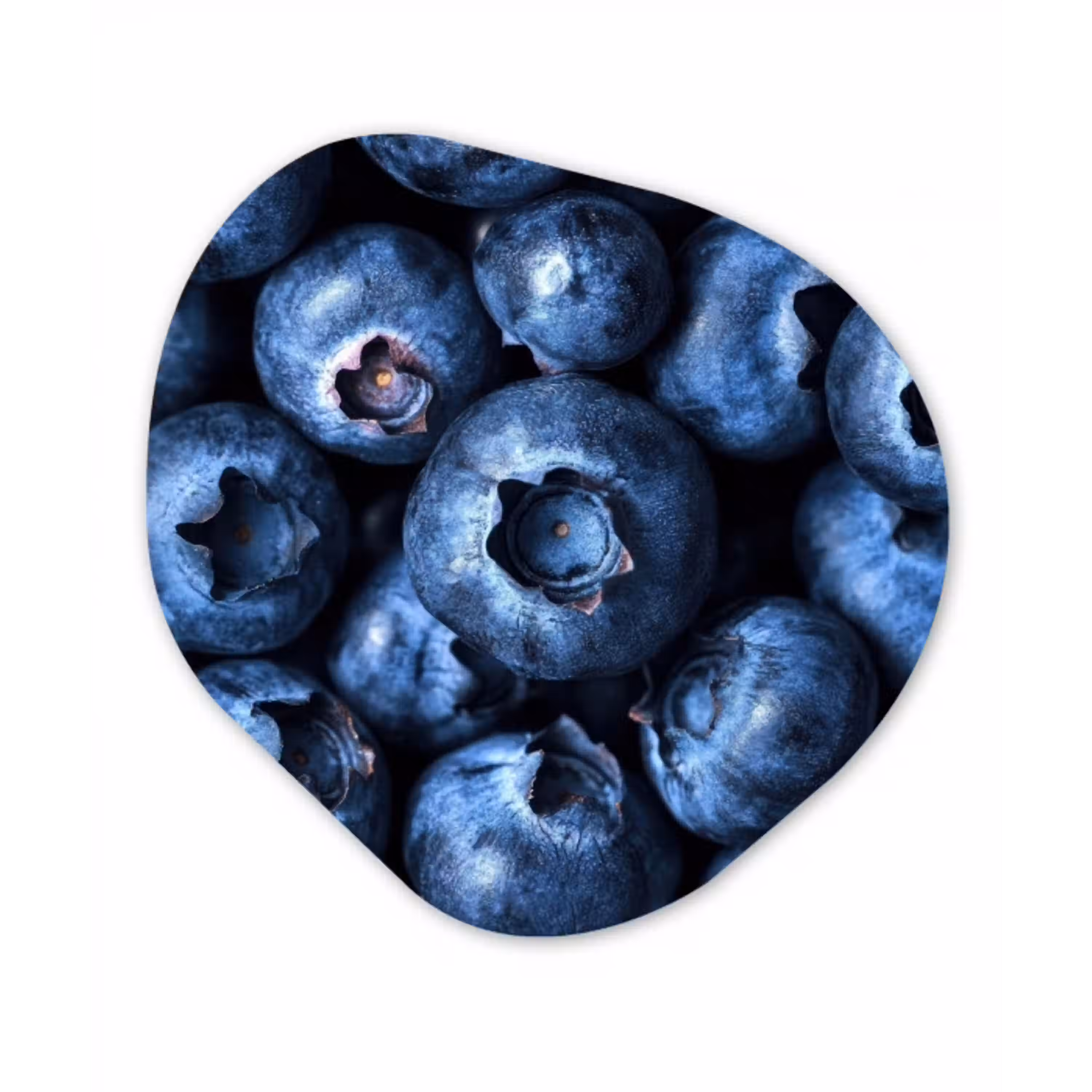 Bessen - Blauw - Fruit Wandcirkel Organisch Aluminium middel -3d
