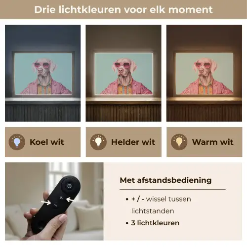 Hond - Overhemd - Bloemen - Bril Light Box met batterij (Wandlamp) middel -USP_lichtkleurNL