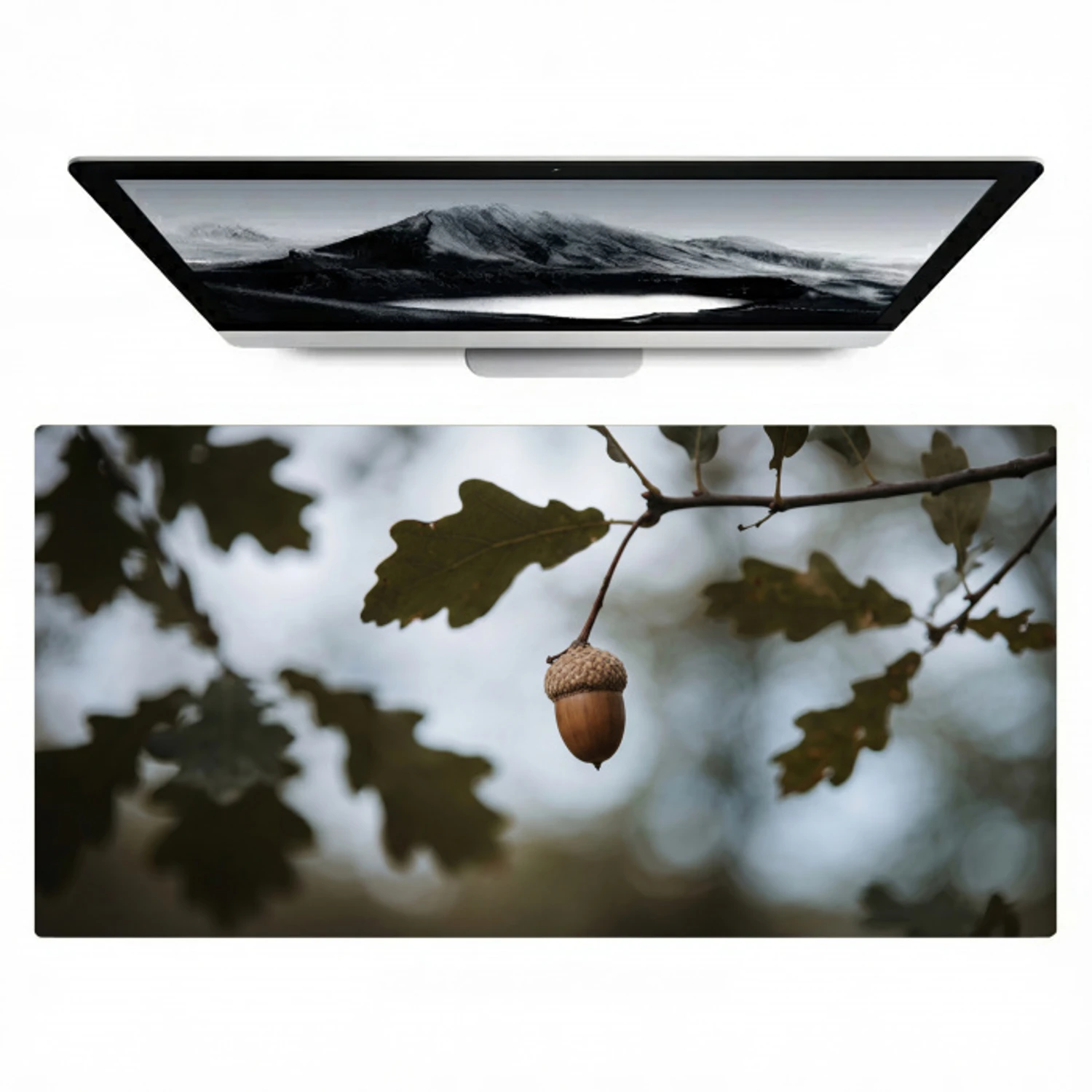 Eikel - Eikenblad - Bos - Herfst - Natuur Muismat XXL klein -zzz3d