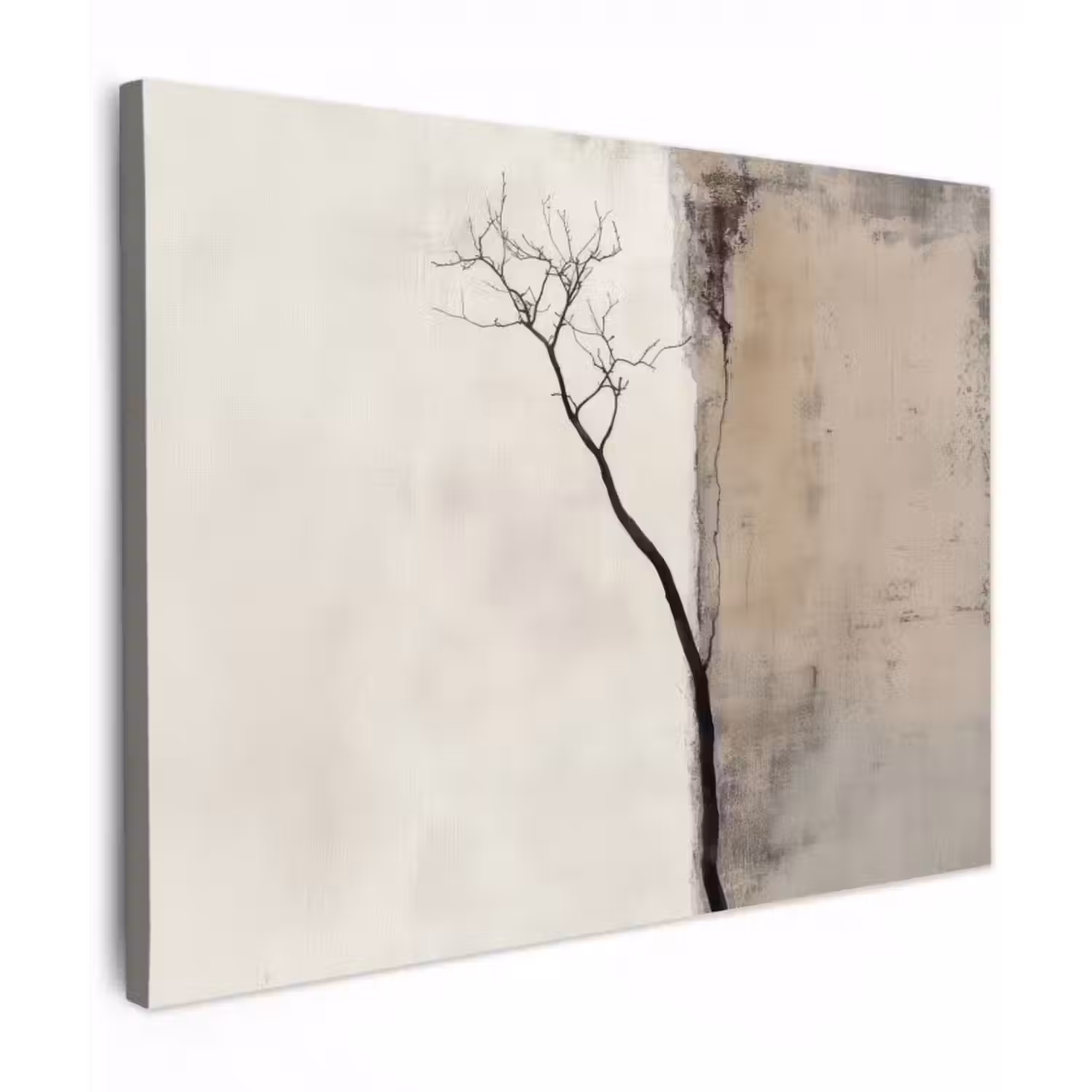 Leinwandbild - Wabi sabi - Pflanze - Beige