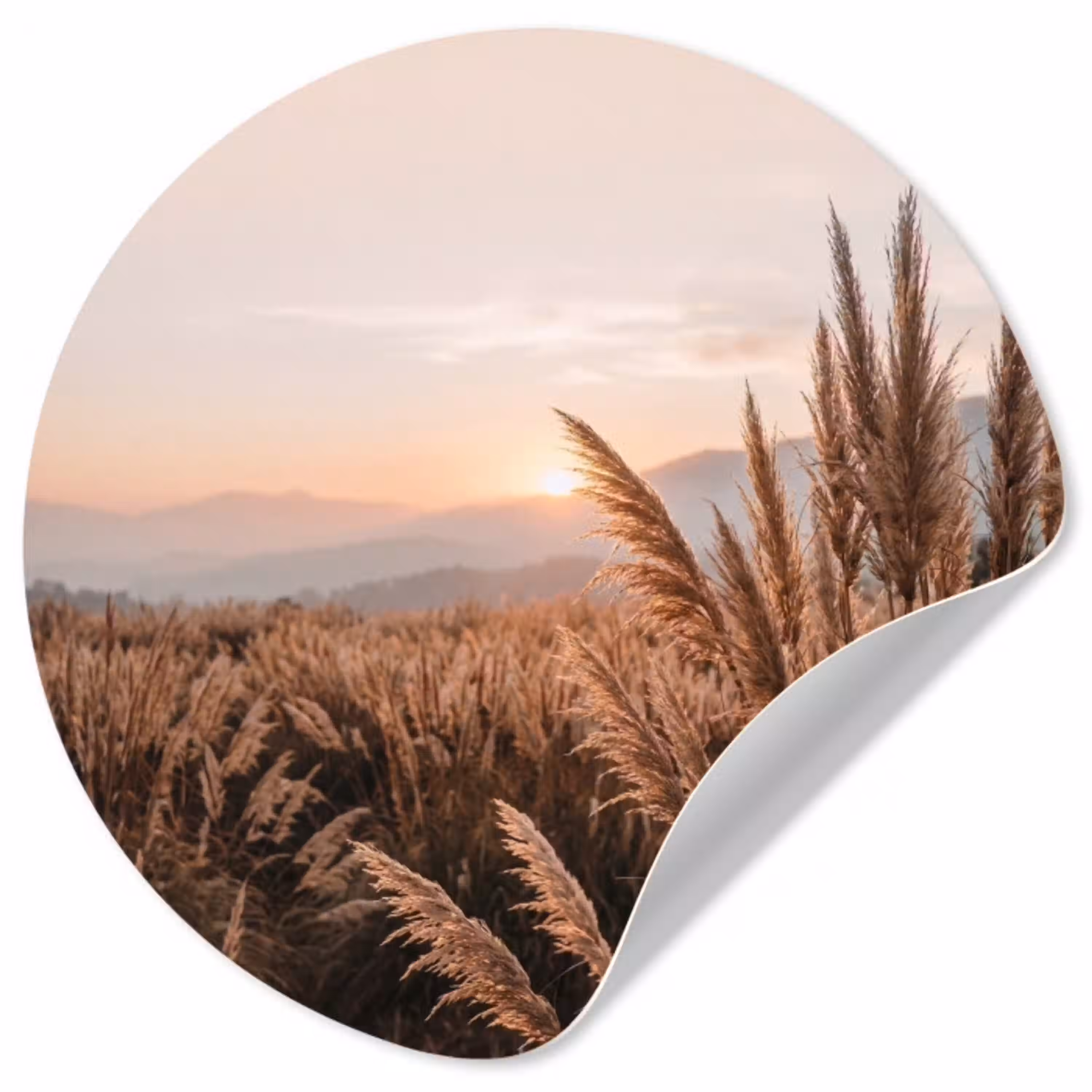 Gras - Veld - Zon - Natuur Wandcirkel behangsticker klein -3d