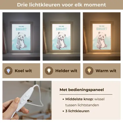 Panda - Blauw - Quote - 'You are smart' Light Box met kabel (Wandlamp kind) klein -USP_lichtkleurNL