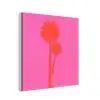 Palmbomen - Modern - Roze aluminium wit klein -3d