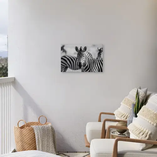 Zebra's - Zwart - Wit Tuinposter op houten frame 2 cm dik klein -sfeer1