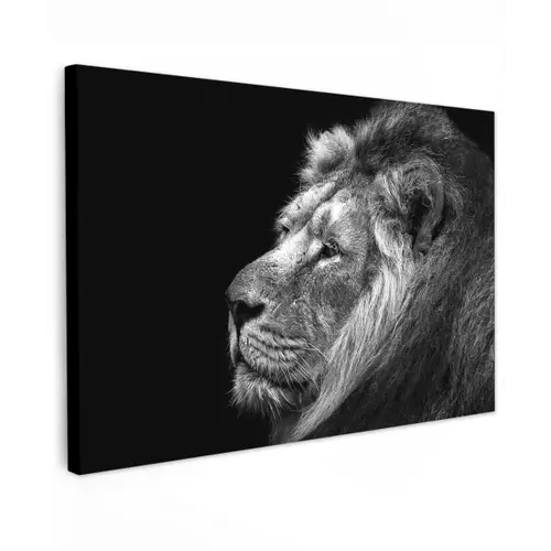 Leeuw tegen zwarte achtergrond in zwart-wit canvas 2cm klein -z3d