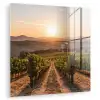 Wijngaard - Zonsondergang - Landschap plexiglas 5mm klein -zzzproduct_nieuw