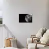 Close-up - Maan - Wit - Textuur Tuinposter op houten frame 2 cm dik klein -sfeer1