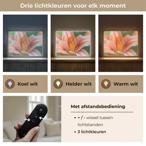 Lelie - Close up - Lichtroze Light Box met batterij (Wandlamp) middel -USP_lichtkleurNL