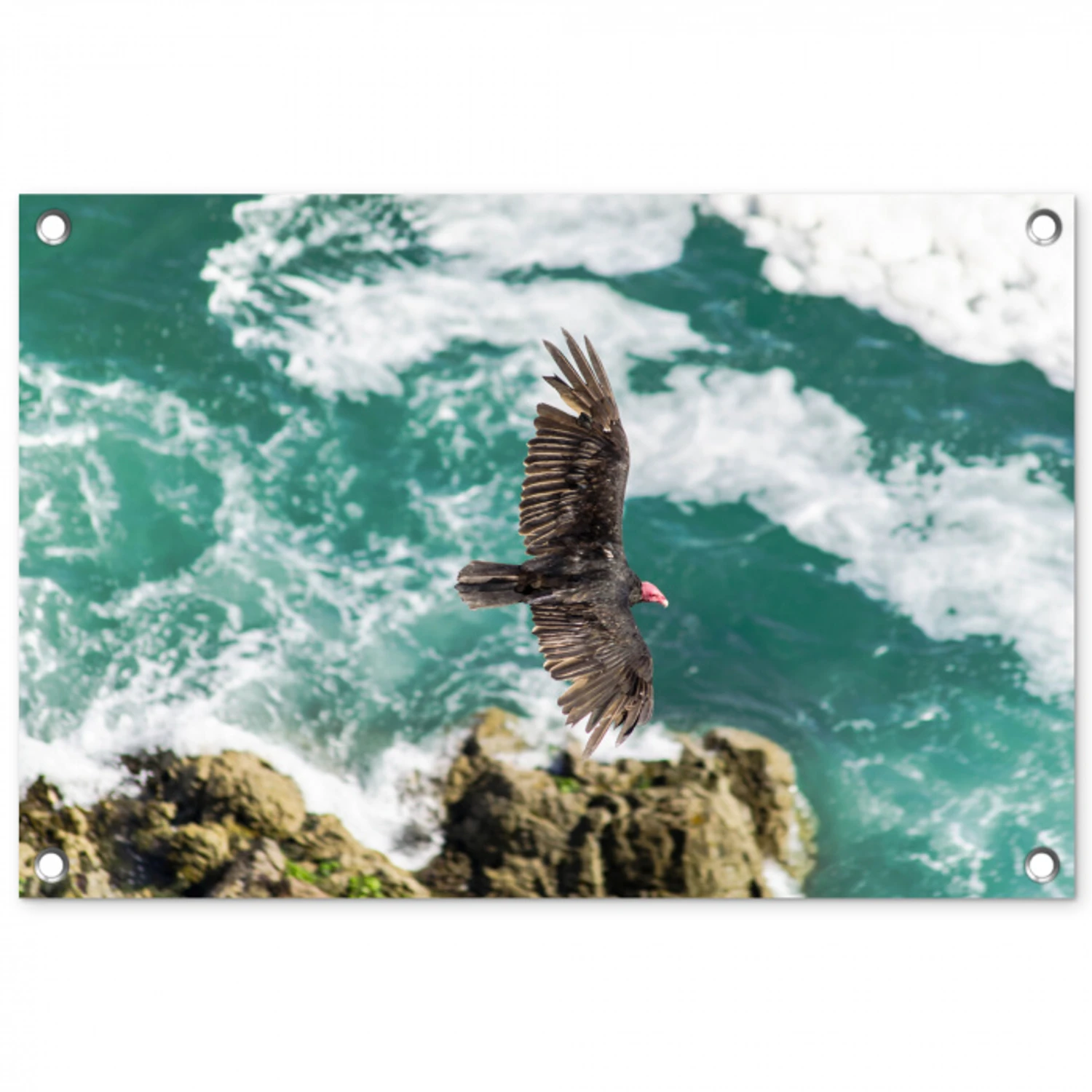 Dieren - Roofvogels - Water tuinposter los doek klein -3d