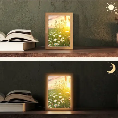 Bloemen - Madelief - Natuur - Zon - Horizon Light Box met kabel (Tafellamp) klein -sfeer3