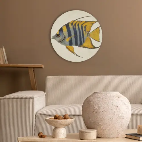 Vis - Sierlijk - Vinnen - Illustratie Akoestische PET Vilt - Rond klein -sfeer1