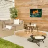 Paradijsvogel - Bloem - Exotisch Tuinposter op houten frame 2 cm dik klein -sfeer2