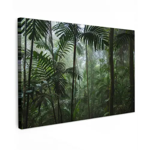Regenwoud - Tropisch - Jungle - Bomen - Planten canvas 2cm klein -z3d
