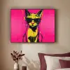 Kat - Art - Zonnebril - Roze Textielframe - compleet frame klein -sfeer1