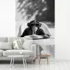 Aap - Spaghetti - Zonnebril - Zwart wit - Cool - Dier fotobehang vinyl groot -woonkamer