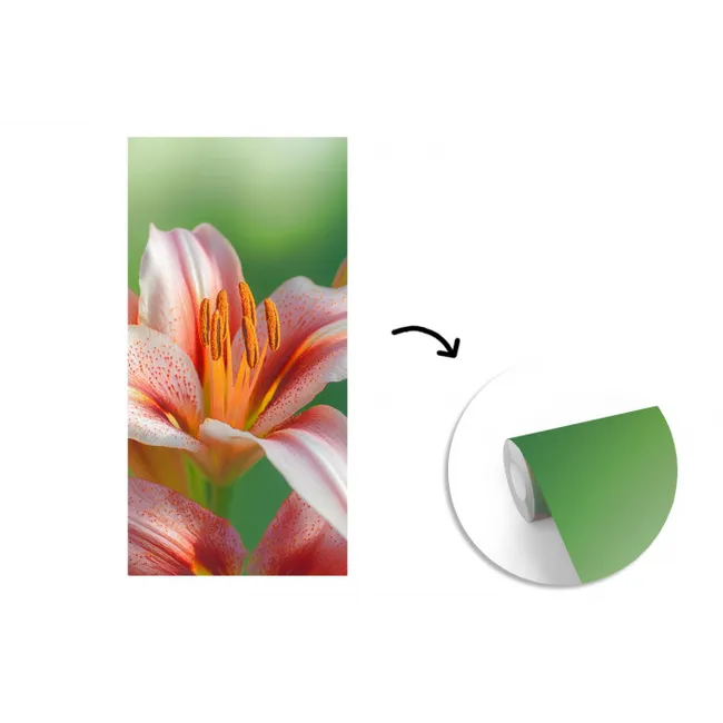 Lelie - Close up - Lichtroze fotobehang vinyl groot -3d