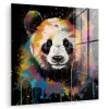 Panda - Graffiti - Dieren - Zwart - Kleuren plexiglas 5mm klein -zzzproduct_nieuw
