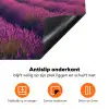 Lavendelveld - Quote - Zonsondergang Inductie beschermer vinyl 3mm klein -zzzzzzz-td-onderkant