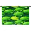 Limoen - Groen - Water Wandkleed katoen klein 269 -zz3d
