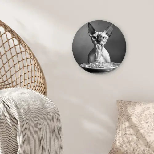 Sphynx - Kat - Dieren - Humor - Spaghetti - Zwart Wit Wandcirkel plexiglas klein -sfeer5