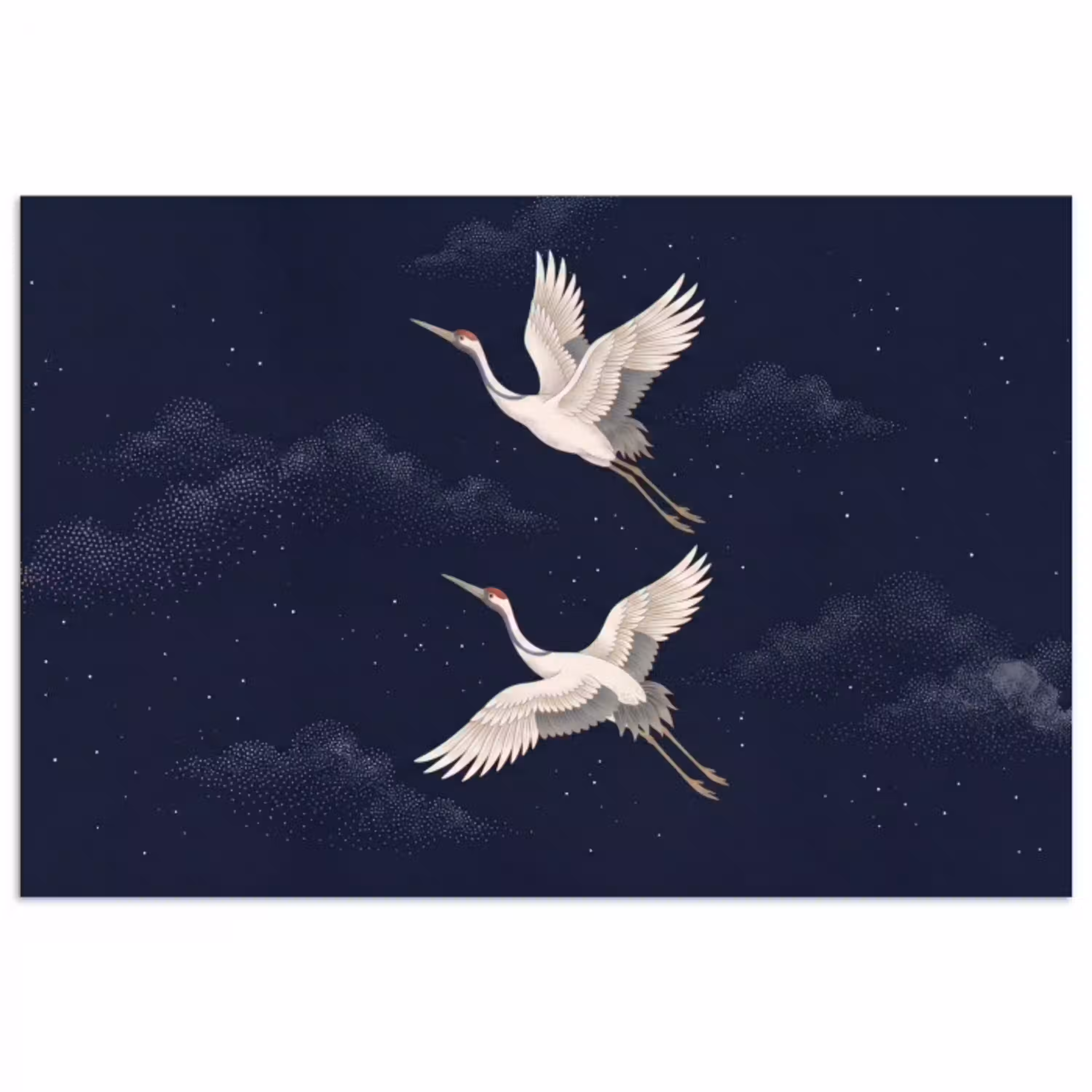 Kraanvogels - Nachthemel - Blauw poster papier klein -3d