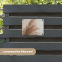 Gedroogd pampasgras tegen een neutrale achtergrond tuinposter los doek klein -sfeer3