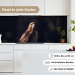 Roofvogel - Buizerd - Bruin keuken achterwand 2 middel -sfeer4_DE
