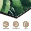 Palmblad - Tropisch - Natuur - Jungle aluminium wit klein -closeup_NL