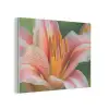 Lelie - Close up - Lichtroze PET vilt klein -3d