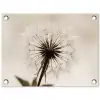 Paardenbloem - Minimalistisch - Wit tuinposter los doek klein -3d