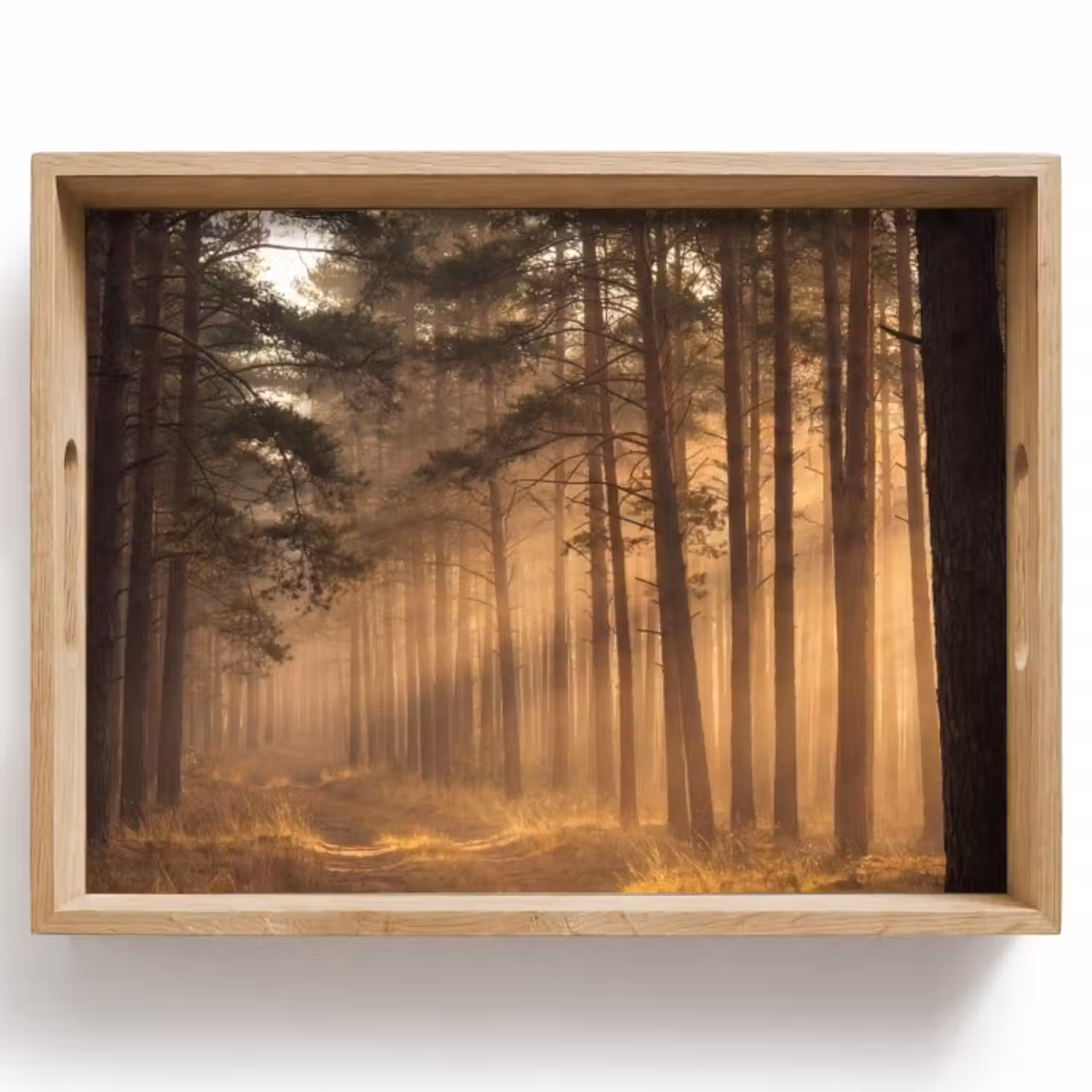 Dienblad - Bos - Mist - Zonlicht